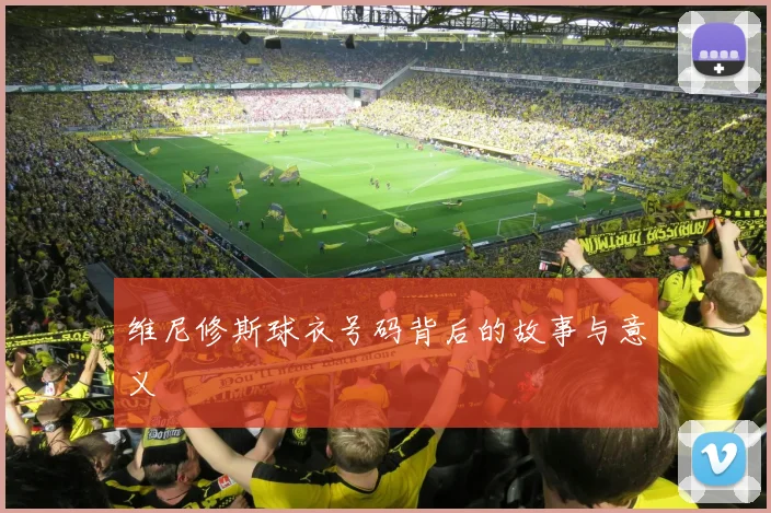 维尼修斯球衣号码背后的故事与意义