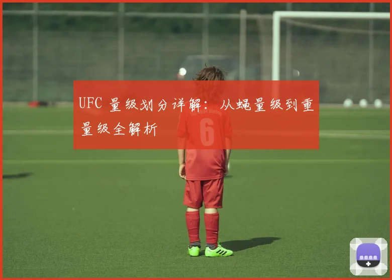 UFC 量级划分详解：从蝇量级到重量级全解析