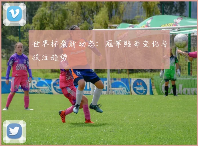世界杯最新动态：冠军赔率变化与投注趋势