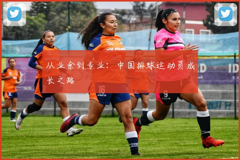 从业余到专业：中国排球运动员成长之路